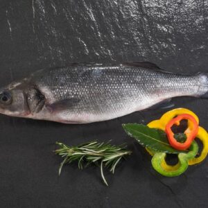 ROBALO HIG. / KG