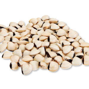 AMEIJOA VIETNAMITA 900gr / UND