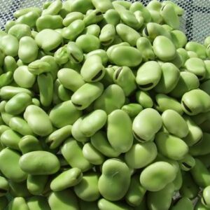 FAVAS 2.5KG / KG