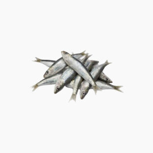 SARDINHA PETINGA 900gr / UND